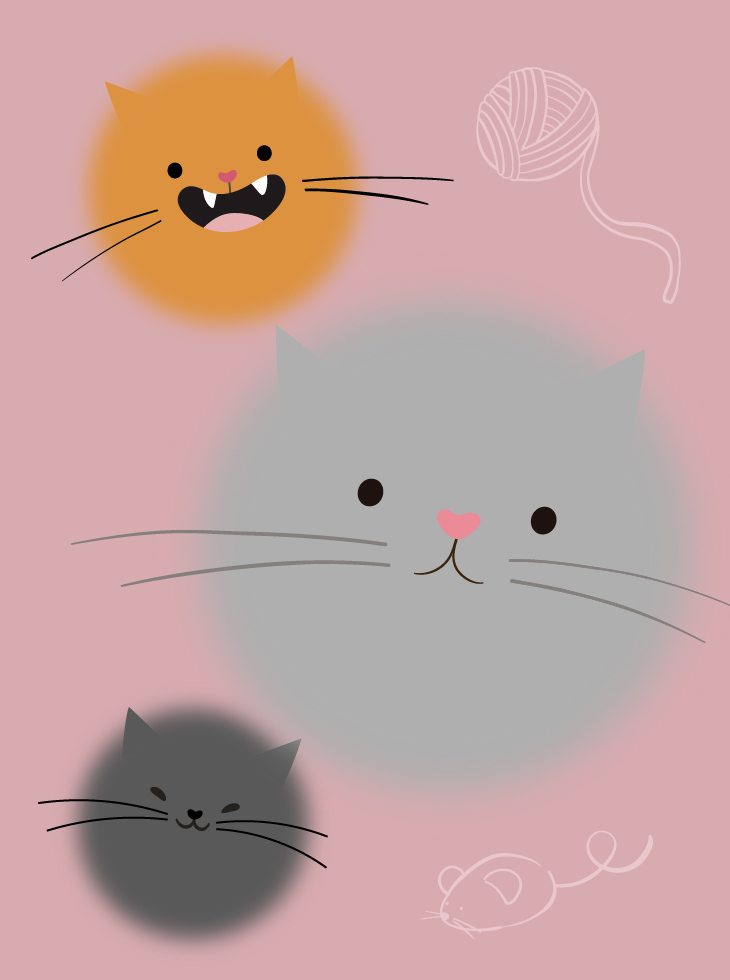 День котиков в Р*.