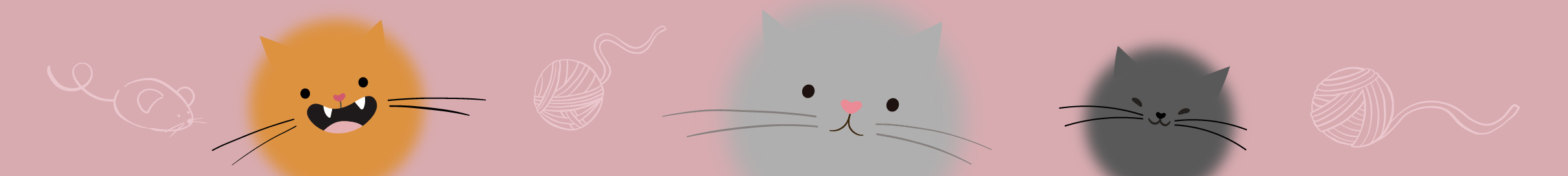 День котиков в Р*.