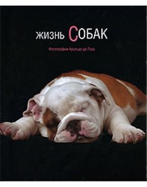Книга «Жизнь собак», автор Аральдо де Лука – купить по цене 393 руб. в интернет-магазине Республика, 978-5-17-053136-3. Нет в наличии
