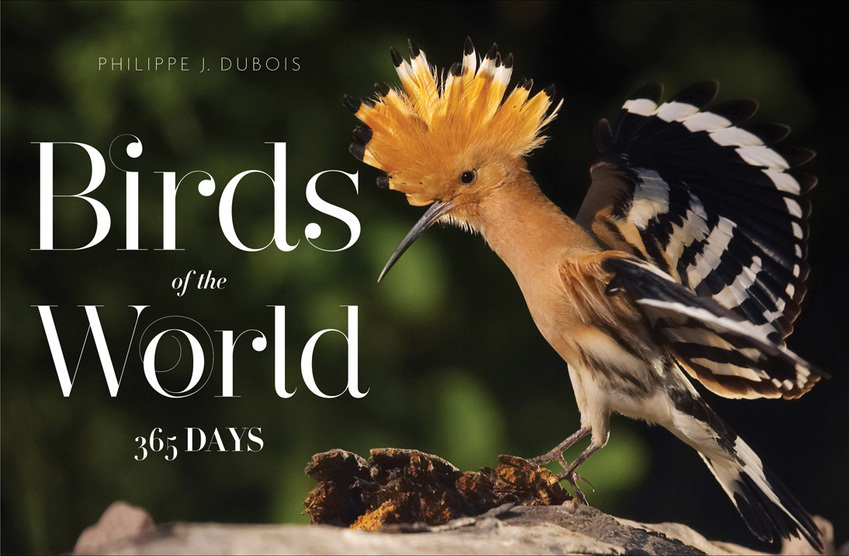 Birds of the World книга. Книги о птицах. Bird Day. J birds