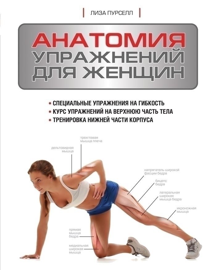 Анатомия фитнес упражнений. Анатомия упражнений для женщин Лиза Пурселл. Анатомия упражнений для женщин. Анатомия тренировок для женщин. Анатомия упражнений для женщин книга.
