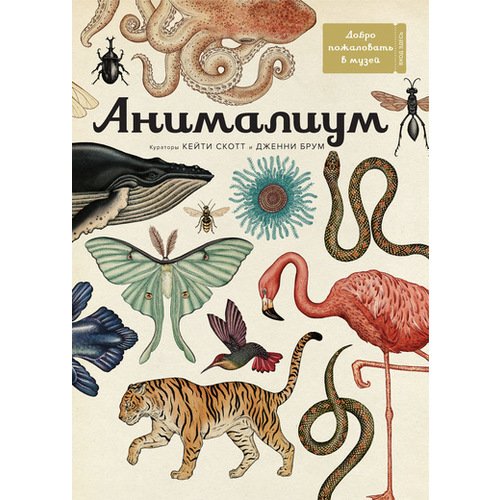 Дженни Брум Анималиум 1750₽