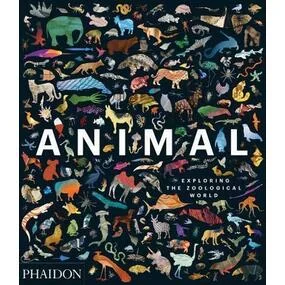 Animal: Exploring the Zoological World