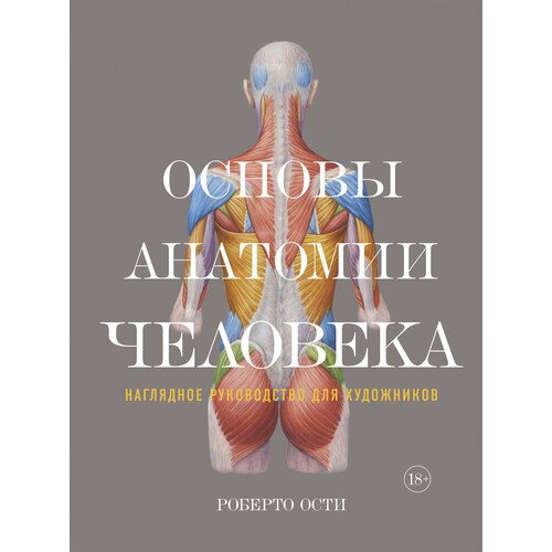 Роберто Ости. Основы анатомии человека основы ультразвуковой анатомии лукас м бернс д