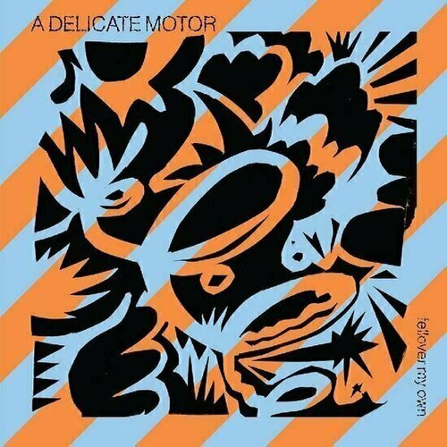 Виниловая пластинка A Delicate Motor – Fellover My Own LP