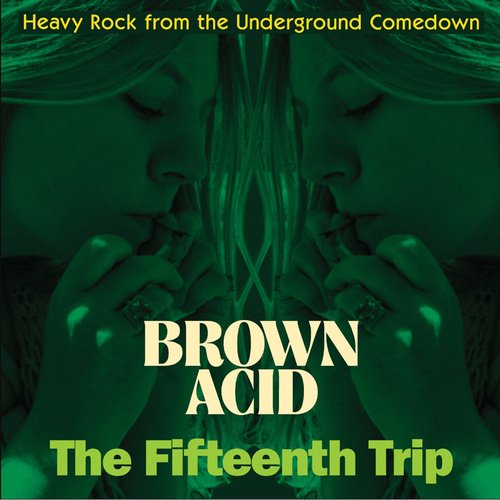 Виниловая пластинка Various Artists - Brown Acid: The Fifteenth Trip (Heavy Rock From The American Comedown Era) LP