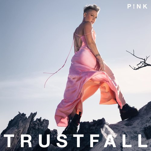 audiocd p nk trustfall cd stereo Виниловая пластинка P!NK – Trustfall LP