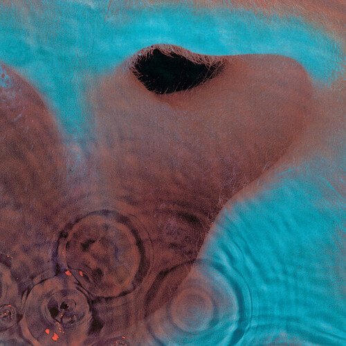 Pink Floyd – Meddle CD