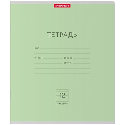 Тетрадь ученическая Классика зеленый 12 л линейка 30₽