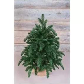 Ель Triumph Tree Нормандия, 60 см, в мешочке, темно-зеленая