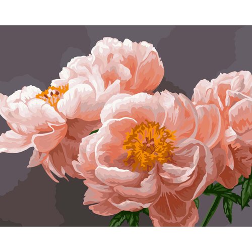 Картина по номерам на холсте Три Совы Нежность 40 х 50 с акриловыми красками и кистями 850₽