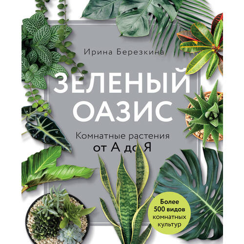 Ирина Березкина. Зеленый оазис. Комнатные растения от А до Я