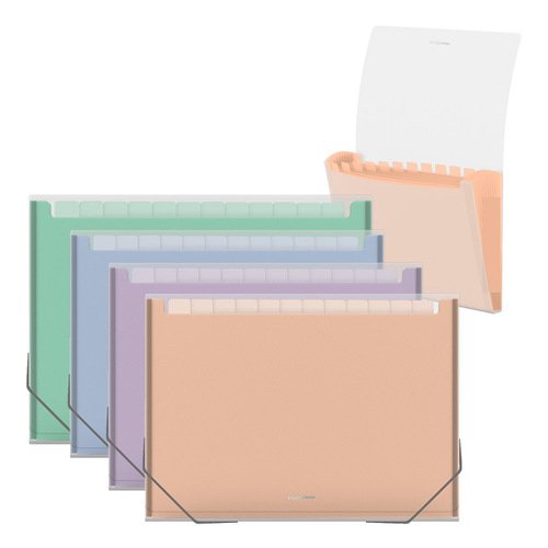 Папка-картотека пластиковая ErichKrause Matt Pastel Bloom, с 13 цветными отделениями, A4, прозрачный, в ассортименте папка на резинках пластиковая erichkrause matt pastel a4 в ассортименте