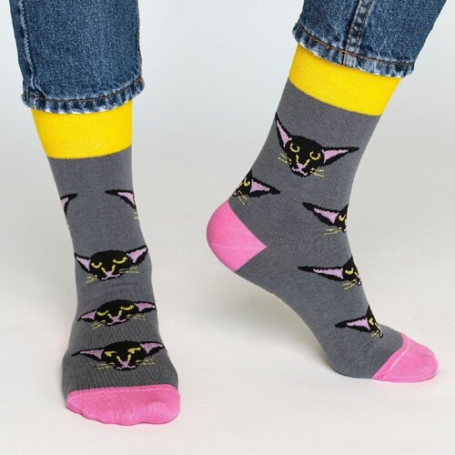 Носки StFriday Socks Возможно я всё же собака р-р 38-41 292₽