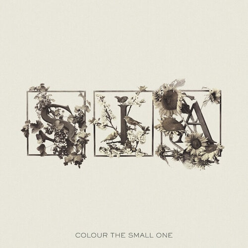 Виниловая пластинка Sia – Colour The Small One (White) 2LP