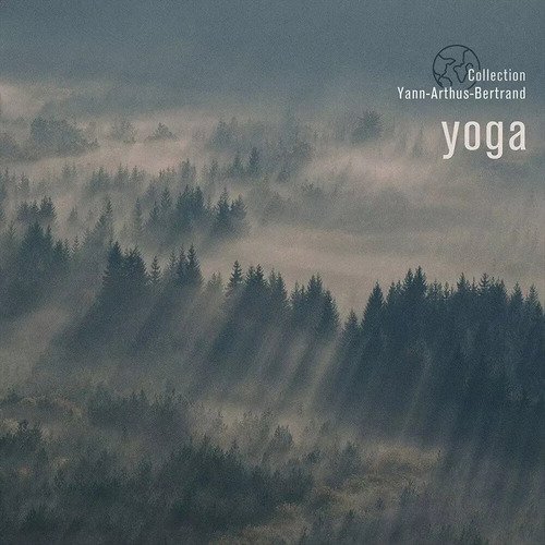 Виниловая пластинка Nicolas Dri, Michael Goldberg, Thierry Noritop – Yoga LP