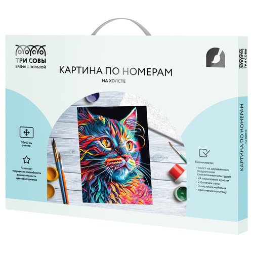 Картина по номерам ТРИ СОВЫ Неоновый кот 30 х 40 см на холсте 950₽