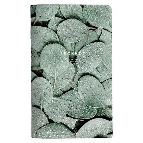 Блокнот для записи иностранных слов Be Smart Botanica 130х210 мм 48л мягкий переплет скрепка эвкалипт популус 210₽