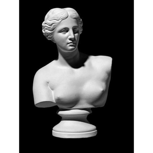Бюст Венеры Милосской малый гипс 1200₽