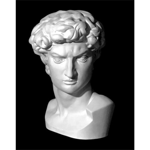 Давид Микеланджело гипс 2250₽