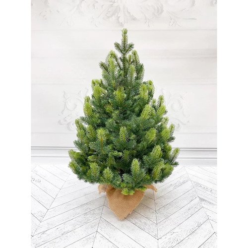 Ель tdl кремлевская премиум, 100 % литая, 60 см в мешочке