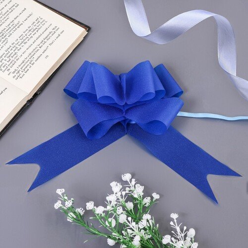 Бант-бабочка 5 9646447 90₽