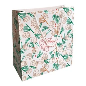 Пакет бумажный, подарочный, Be Smart, 32х32 см, Коллекция Holidays, шишки