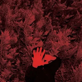 Cory Hanson - The Unborn Capitalist From Limbo LP