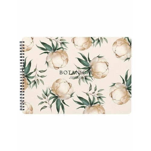 Альбом для рисования Be Smar Peonyt 299х210 мм 40 л мягкий переплет спираль бумага 120 гм2 айвори 440₽