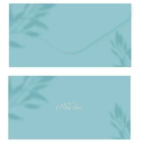 Конверт для денег Meshu Aquamarine, 85х164мм, soft-touchh, фольга