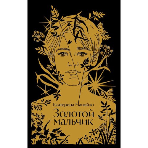 Екатерина Манойло Золотой мальчик 1050₽