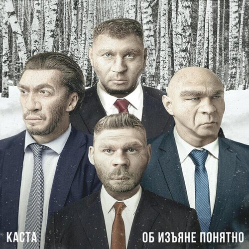 Виниловая пластинка Каста Об Изъяне Понятно LP 4590₽