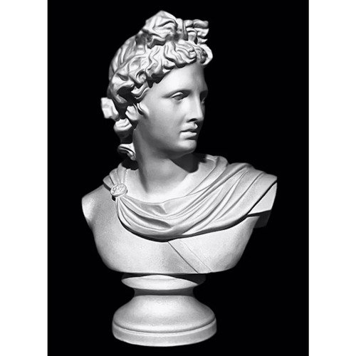 Бюст Аполлона малый гипс 1250₽