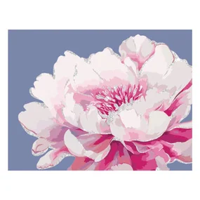 Картина по номерам на холсте с глиттером Серебро на цветке, 30х40, с акриловыми красками и кистями