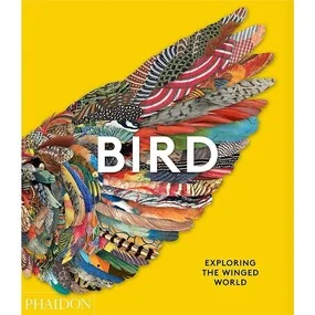 Bird: exploring the winged world