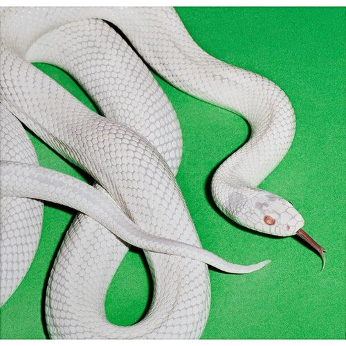 Виниловая пластинка Deftones - Private Music LP 5590₽