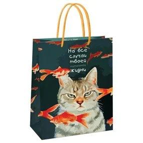 Пакет подарочный 11х14х6,5см Meshu Moody cat,  глянцевая ламинация