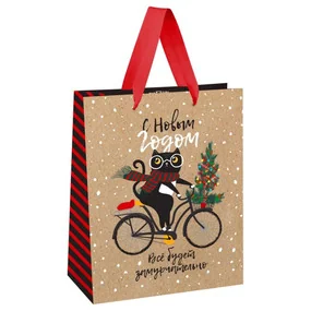 Пакет подарочный 18х23х10см Meshu Cat's congrats, крафт