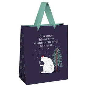 Пакет подарочный 18х23х10см Meshu Новогоднее недопонимание, фольга, матовая ламинация