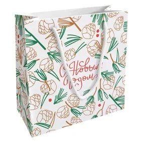 Пакет бумажный, подарочный, Be Smart, 20х20 см, Holidays, шишки