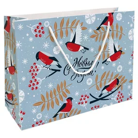 Пакет бумажный, подарочный, Be Smart, 36х26 см, Frost, снегири