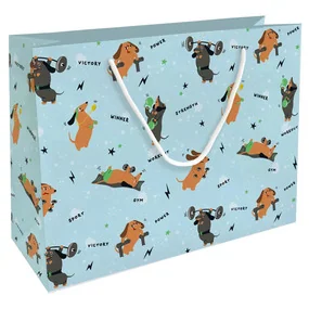 Пакет бумажный, подарочный, Be Smart, 36х26 см, Hobby, голубой