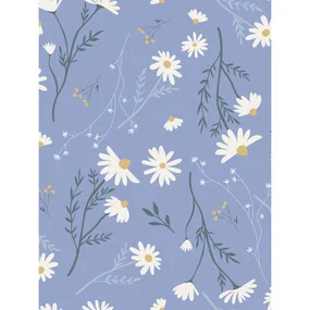 Бумага для подарков, Be Smart, 70х100 см, Fleurs, ромашки