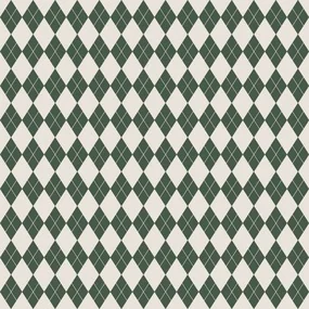 Бумага для подарков, Be Smart, 70х100 см, Cage, зеленый