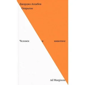 Открытое. Человек и животное
