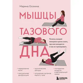 Мышцы тазового дна