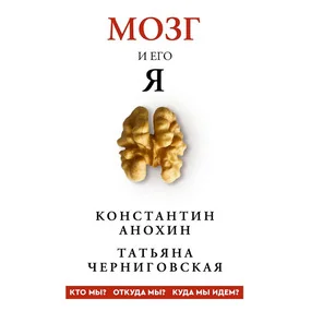 Мозг и его “Я”. Кто мы? Откуда мы? Куда мы идем?
