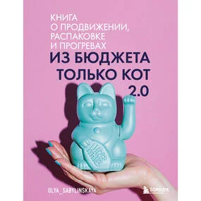 Из бюджета только кот 2